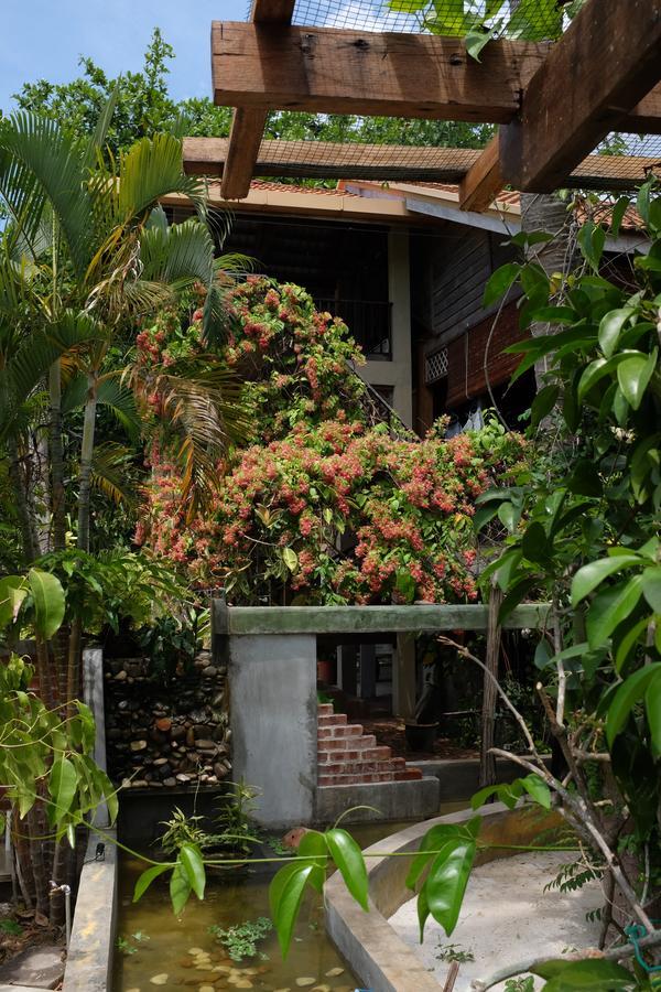 Panji Panji Tropical Wooden Home Пантай-Ченанг Екстер'єр фото